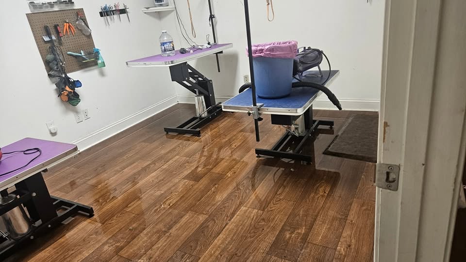 Kristen Condrey, owner and Animal Behavior College certified groomer at Amelia's Muttley Crew